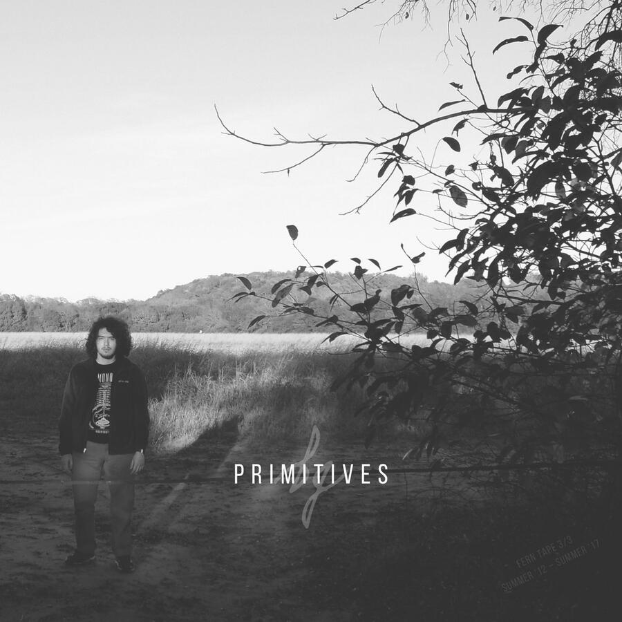 Primitives [2012 – 2017]
