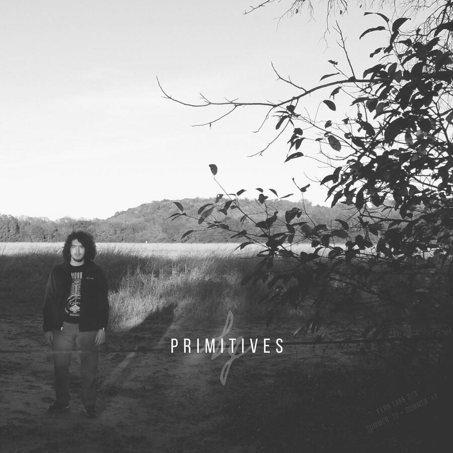 Primitives [2012 – 2017]